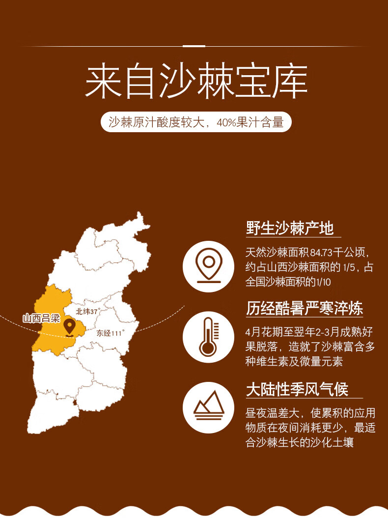 吕梁野山坡 沙棘汁350ml 10瓶普通装 山西特产饮料
