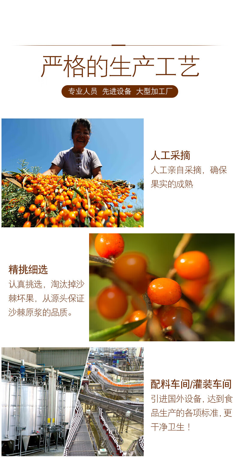 吕梁野山坡 沙棘汁350ml 10瓶普通装 山西特产饮料