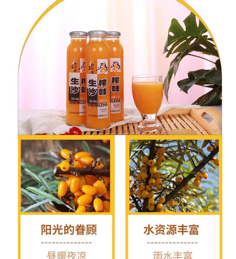 吕梁野山坡 沙棘汁原浆生榨沙棘果汁 300ml*8瓶 山西特产饮料