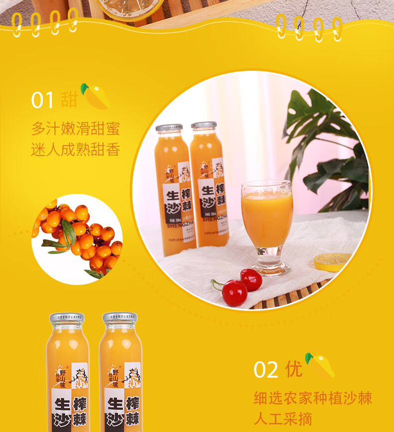吕梁野山坡 沙棘汁原浆生榨沙棘果汁 300ml*8瓶 山西特产饮料
