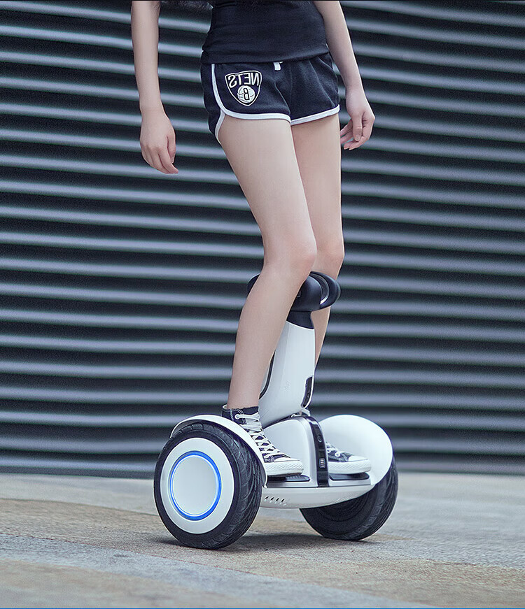 小米 Ninebot九号平衡车Plus 双轮智能遥控漂移两轮电动超长续航 智能电动体感车