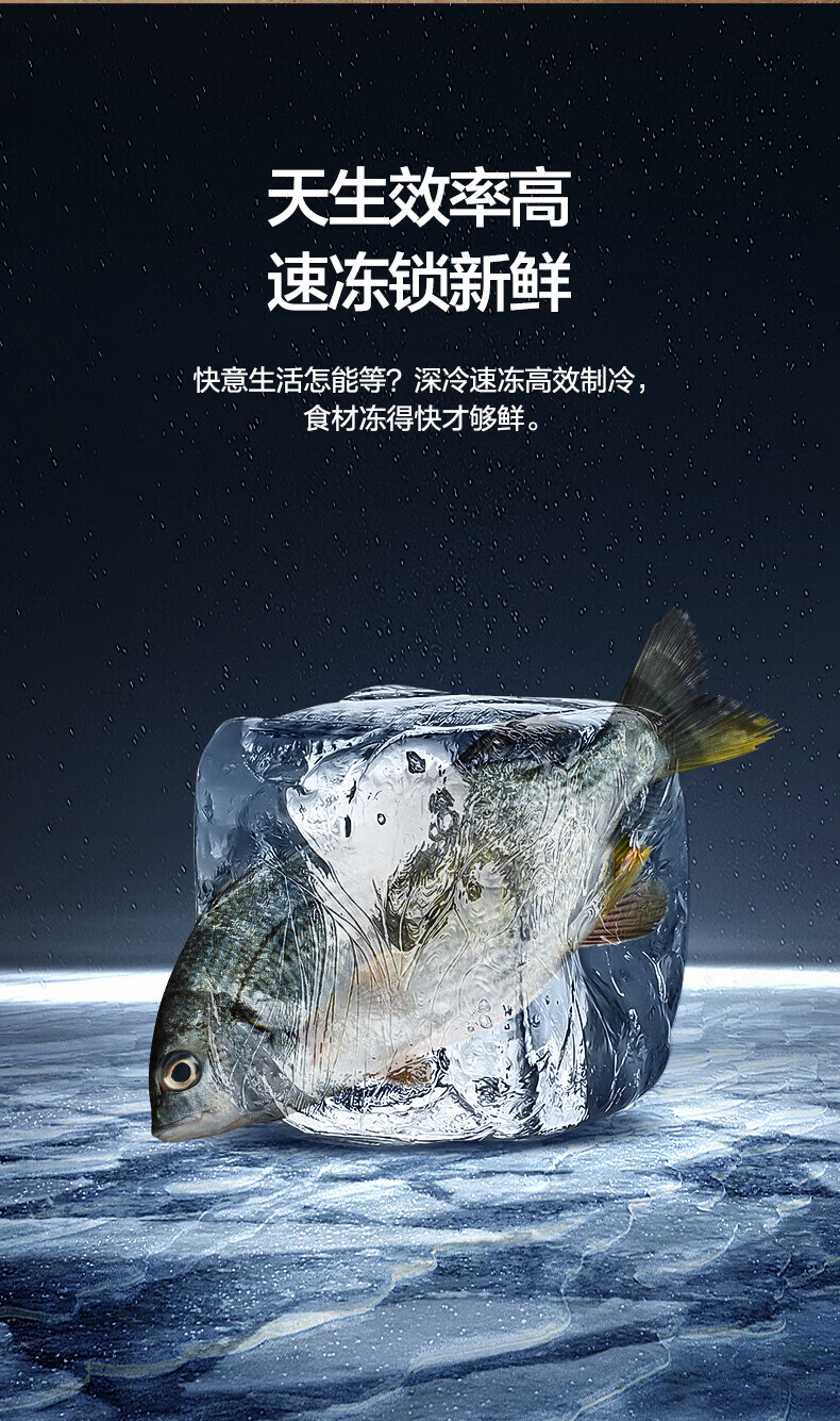 美的（Midea）172升双门小冰箱租房宿舍低音小型节能家用省电可冷藏冷冻低温补偿深冷速冻 BCD-172CM(E)