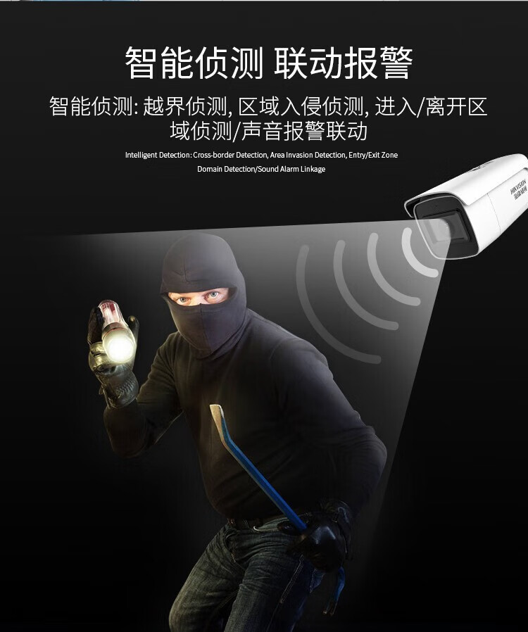 海康威视 HIKVISION 400万人脸识别摄像头 红外防水变焦一体 DS-2CD3646FWDA3/F-LZS 镜头2.7-12mm