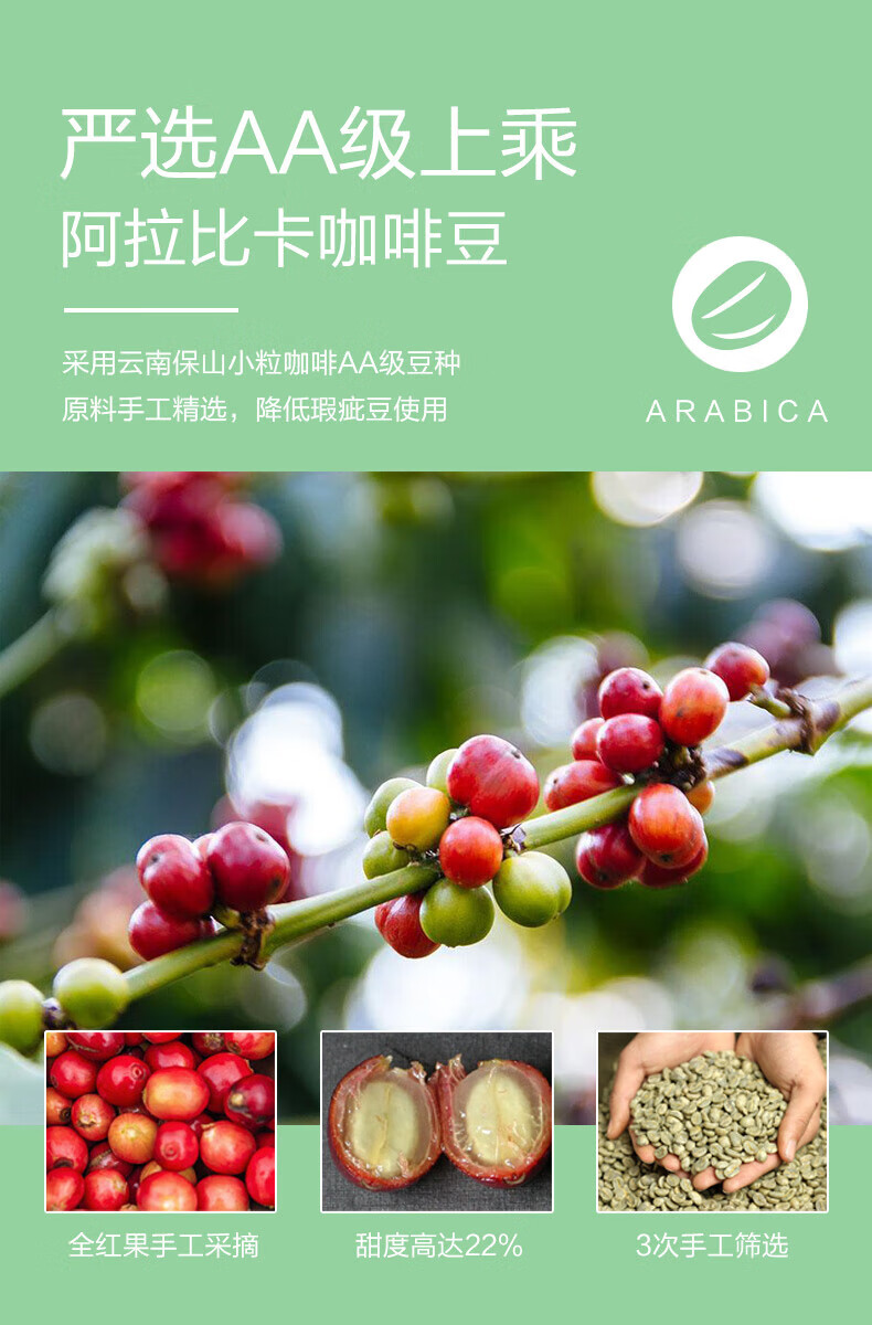 景兰（JINGLAN）蓝山风味挂耳咖啡10包*2盒装