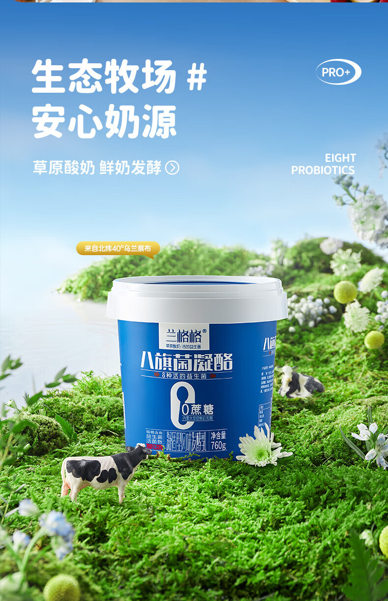 兰格格 益生菌酸奶酸牛奶 低温八旗菌凝酪零蔗糖760g*2桶