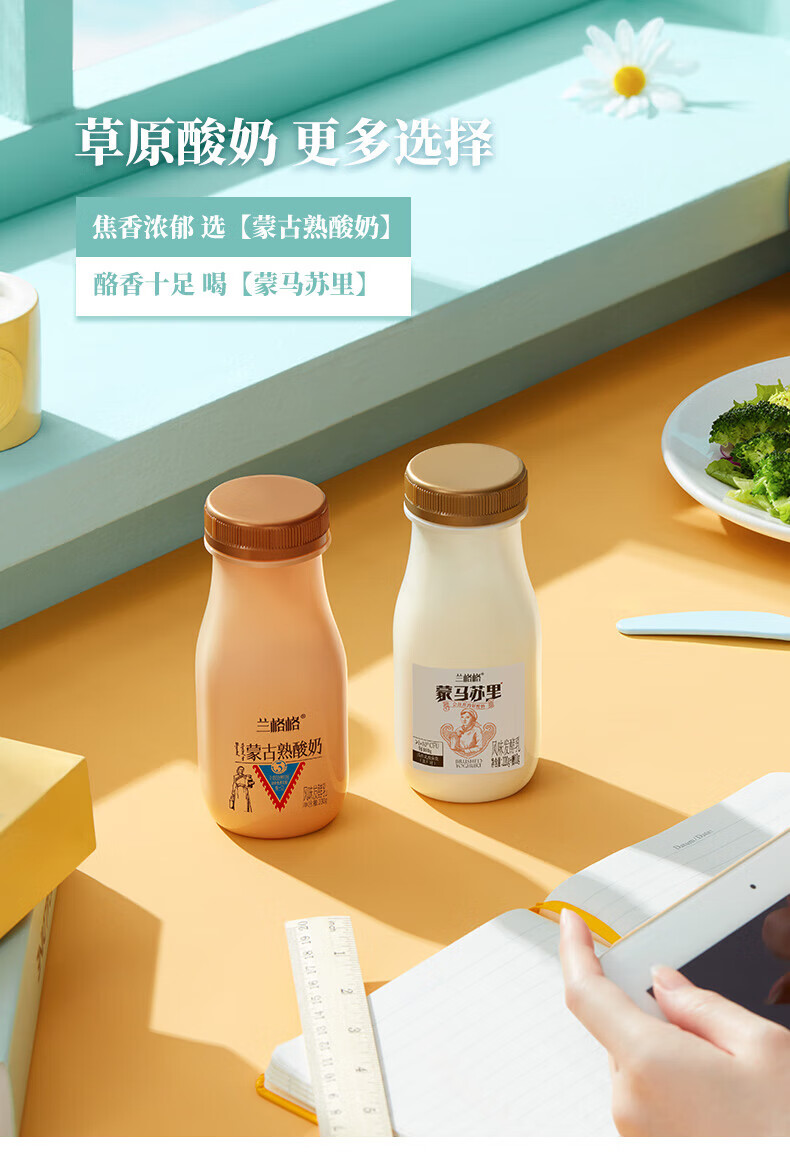 兰格格 蒙古低温熟酸奶230g*12瓶