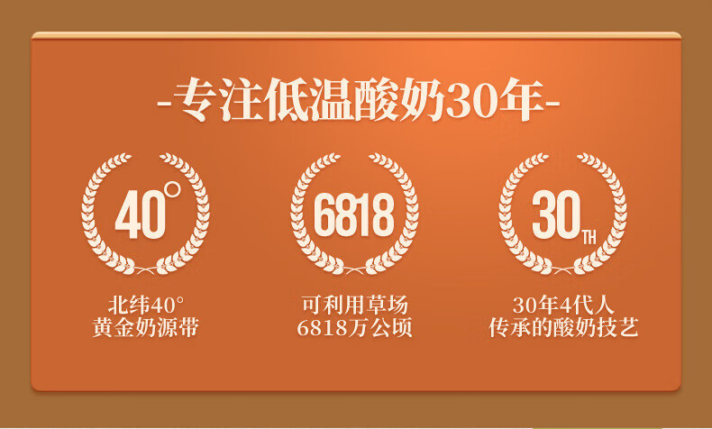 兰格格 蒙古低温炭烧熟酸奶1kg*2瓶