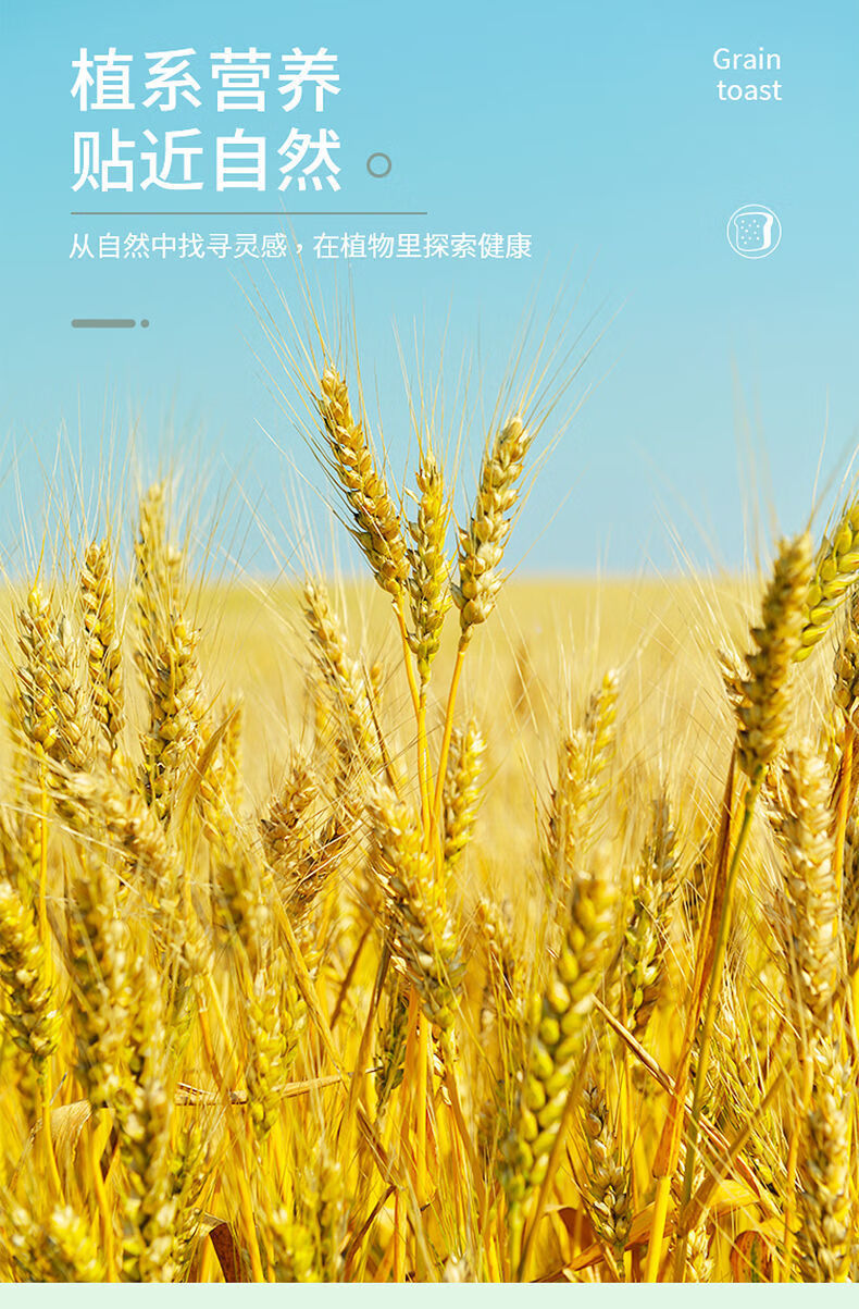 卡尔顿（Calleton）全麦面包切片早餐代餐饱腹粗粮杂粮 谷物吐司540g