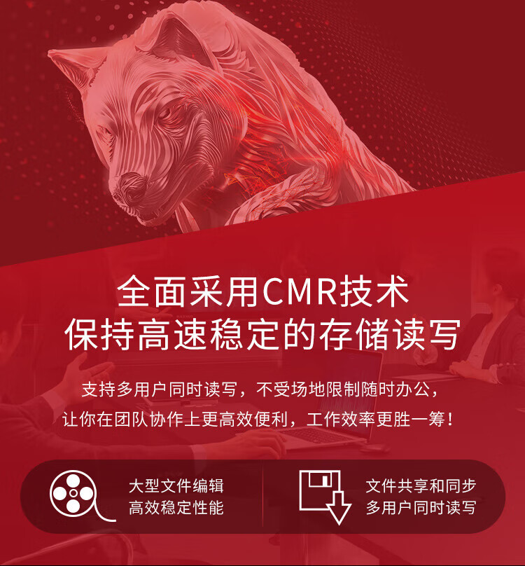 希捷(SEAGATE)NAS硬盘 PMR CMR垂直磁记录 网络存储 SATA酷狼 数据恢复 8TB(ST8000VN004)原厂数据救援