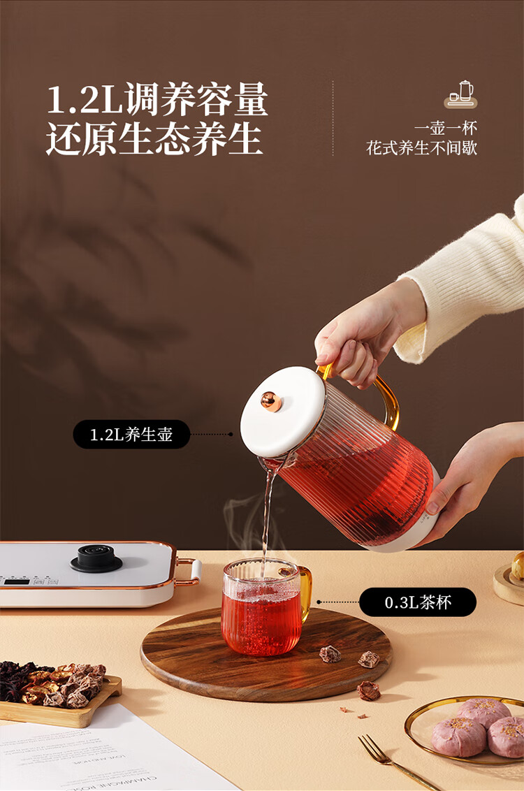 生活元素（LIFE ELEMENT）多功能养生壶D65-H01 白色煮茶壶煎药壶1.2L容量 电茶壶玻璃烧水壶智能电热水壶