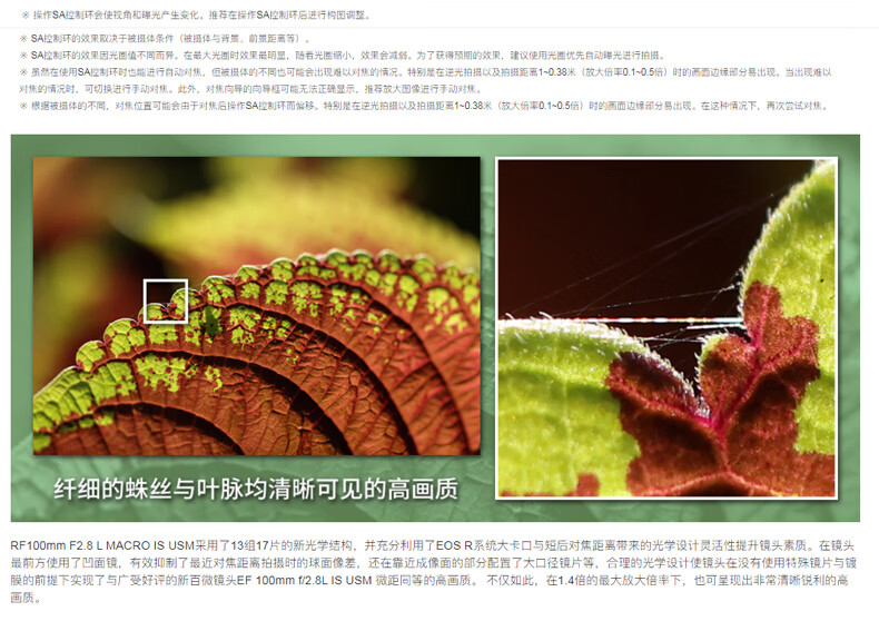 佳能（Canon）RF新百微 L级人像/动植物/街拍中远摄定焦镜头 RF100mm F2.8 L MACRO IS USM