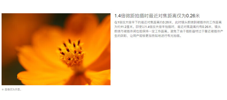 佳能（Canon）RF新百微 L级人像/动植物/街拍中远摄定焦镜头 RF100mm F2.8 L MACRO IS USM