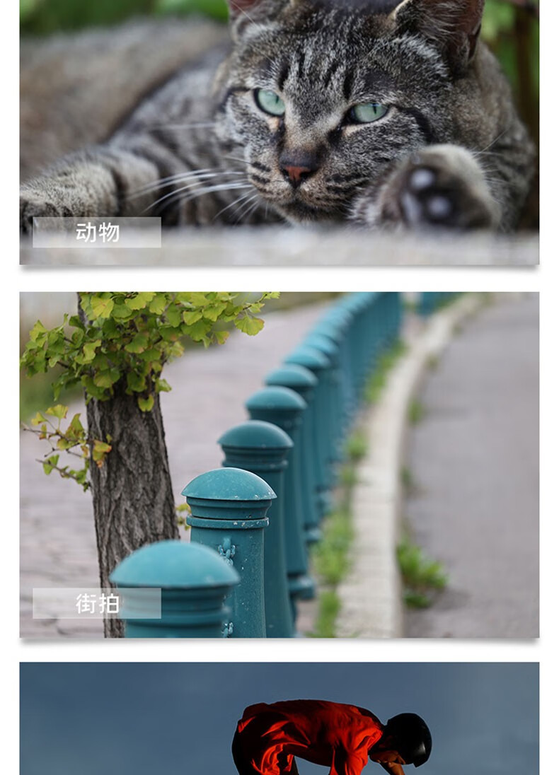 佳能（Canon）RF镜头 全画幅EOS-R用全画幅镜头 镜头镜头 RF70-200mm F2.8 L IS USM