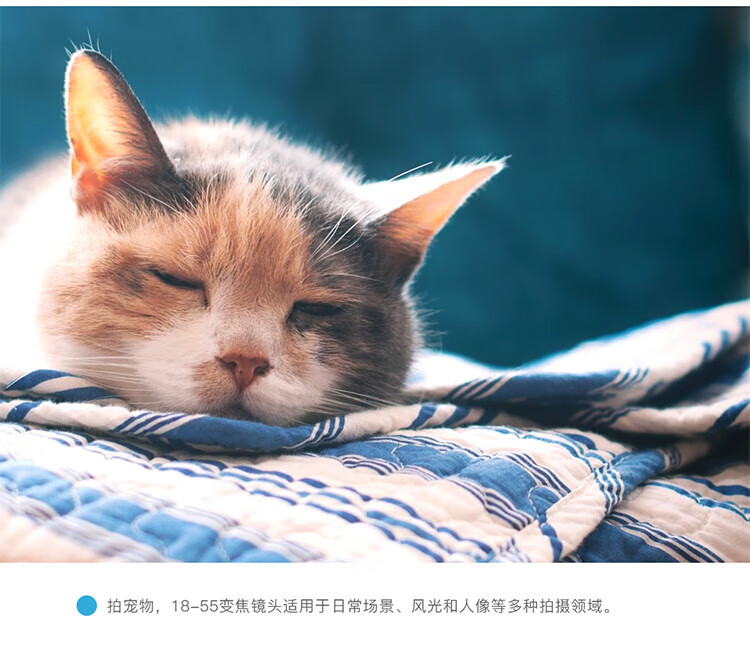 佳能（Canon）变焦镜头 广角 人像风光镜头 拆机镜头 EF-S 18-55 f/4-5.6