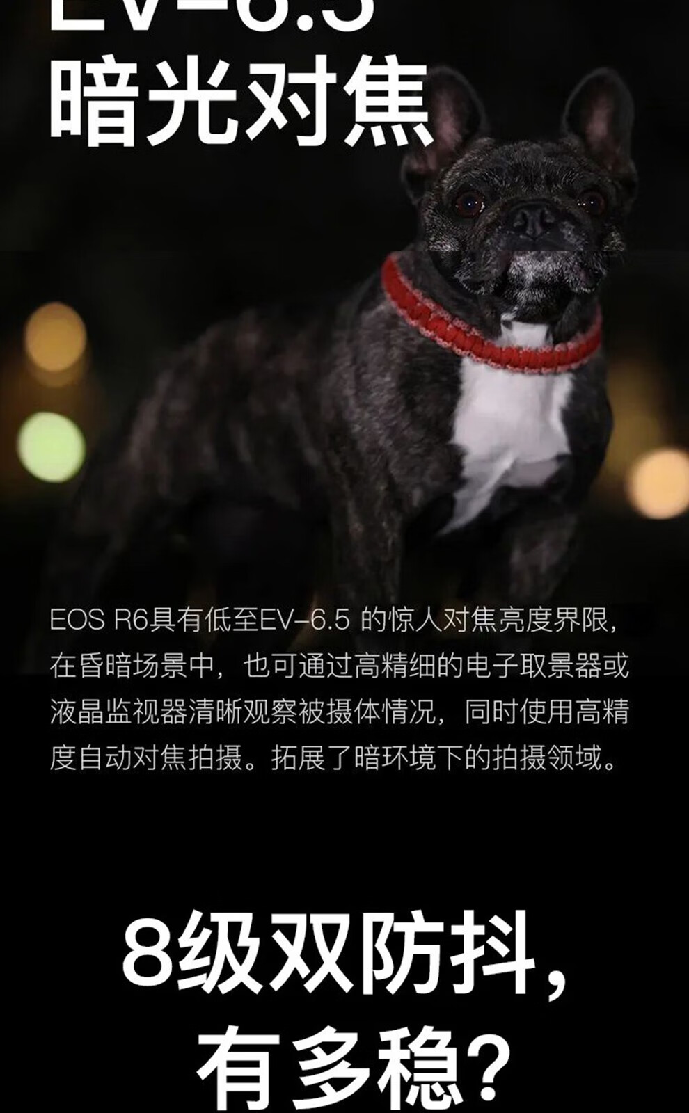 佳能（Canon）EOS R6 全画幅微单相机 机身/套机全画幅专业 Vlog相机 4K短片拍摄 RF24-105mm F4-7.1 IS STM
