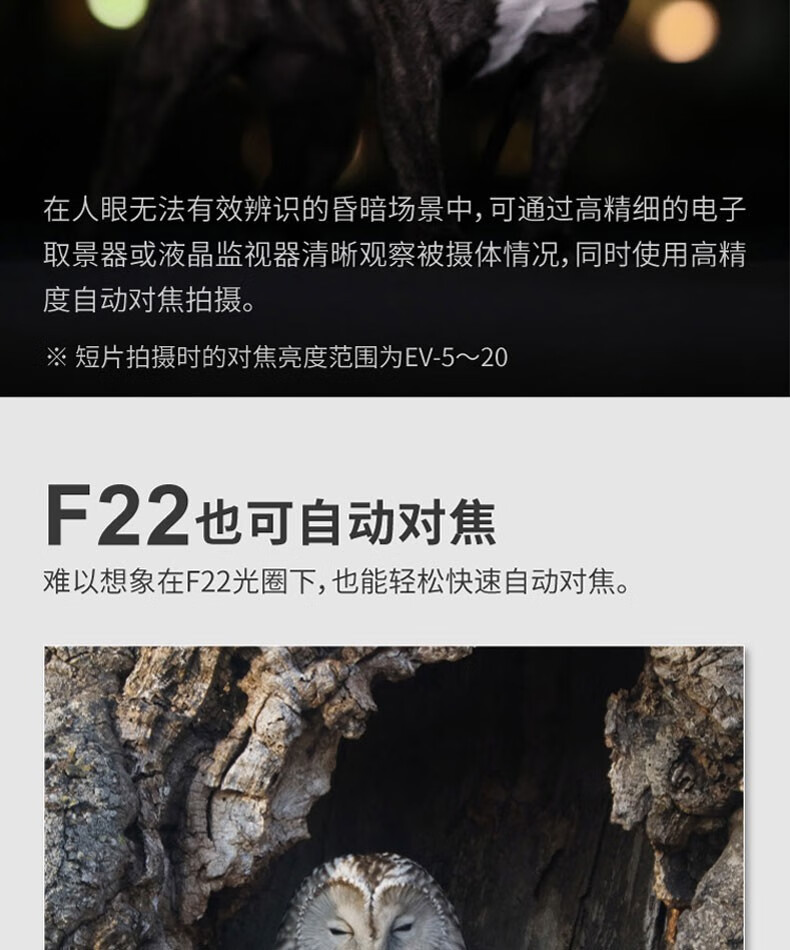 佳能（Canon）EOS R6 全画幅微单相机 机身/套机全画幅专业 Vlog相机 4K短片拍摄 EF50mm F1.8 STM