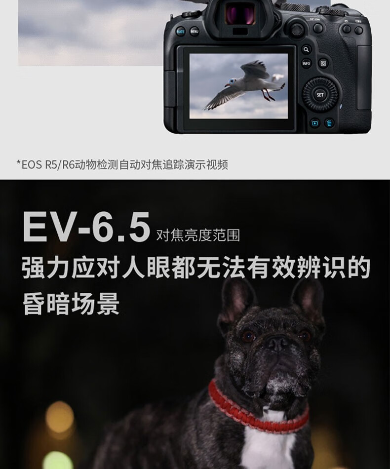 佳能（Canon）EOS R6 全画幅微单相机 机身/套机全画幅专业 Vlog相机 4K短片拍摄 EF50mm F1.8 STM