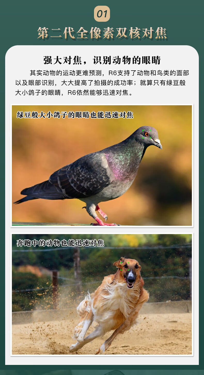 佳能（Canon）EOS R6 全画幅微单相机 机身/套机全画幅专业 Vlog相机 4K短片拍摄 EF15-35 F2.8 USM
