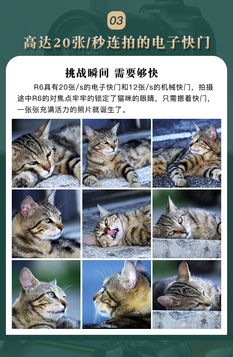 佳能（Canon）EOS R6 全画幅微单相机 机身/套机全画幅专业 Vlog相机 4K短片拍摄 EF15-35 F2.8 USM