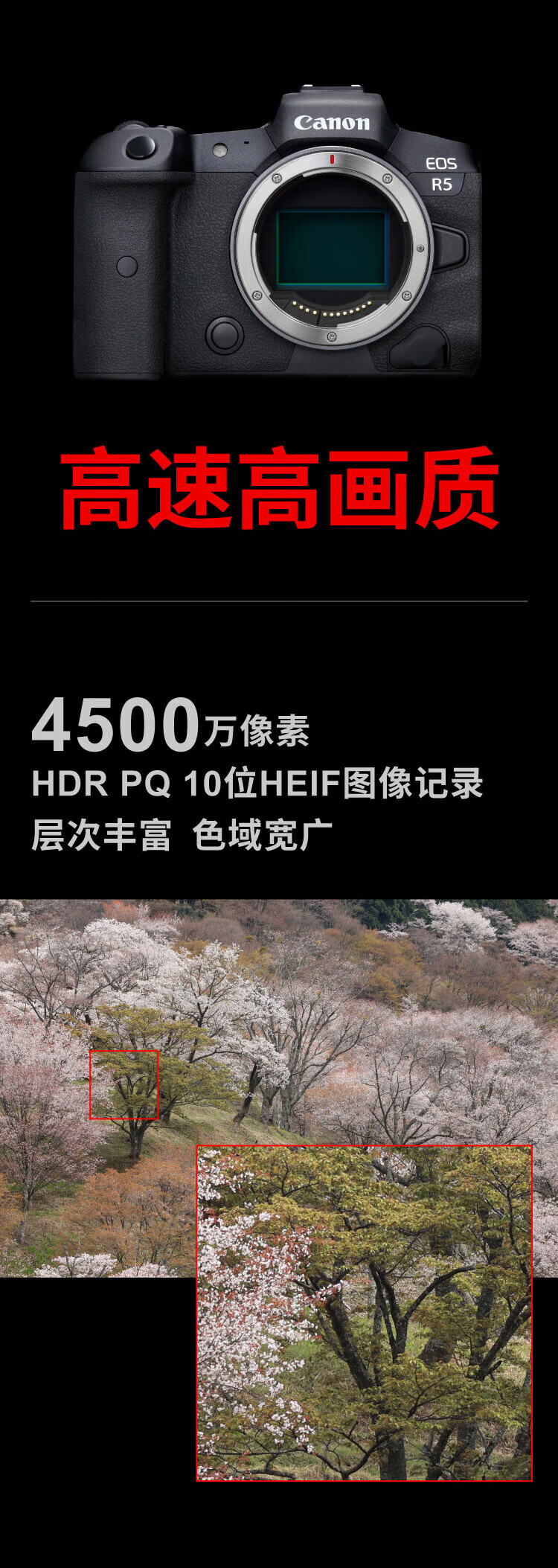 佳能（Canon）EOS R5 微单相机相机 全画幅微单 8K视频拍摄 佳能R5+RF70-200 F2.8镜头 标配