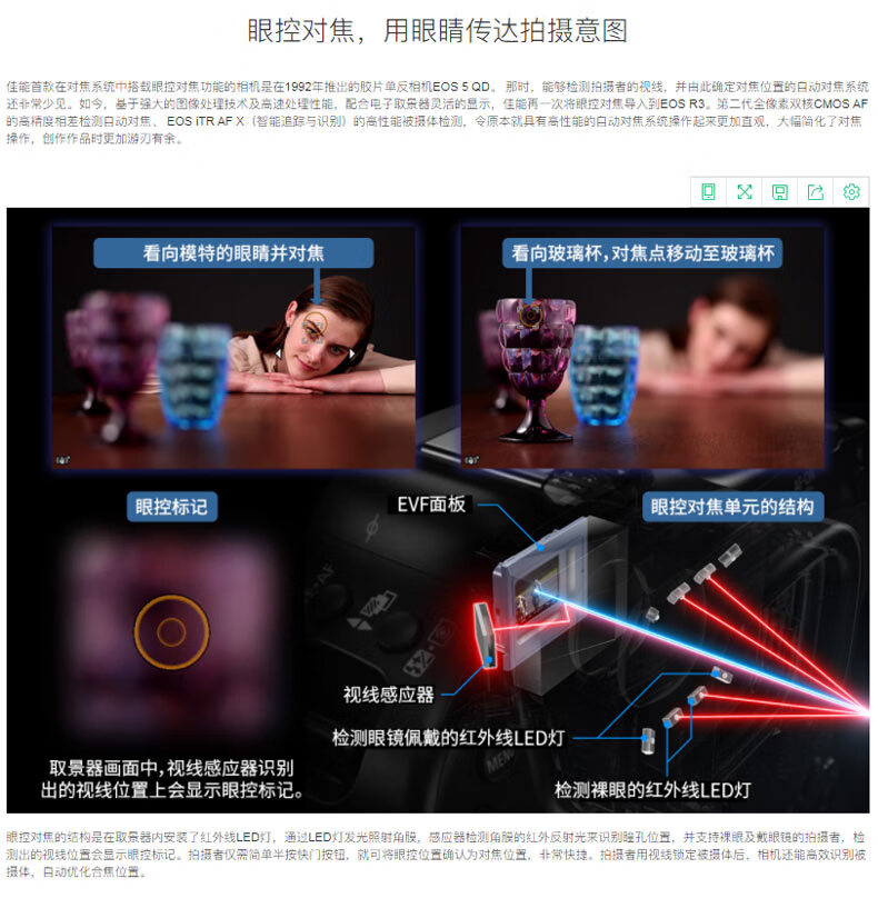 佳能（Canon）EOS R3全画幅专业微单数码相机 单机身/不含镜头 官方标配