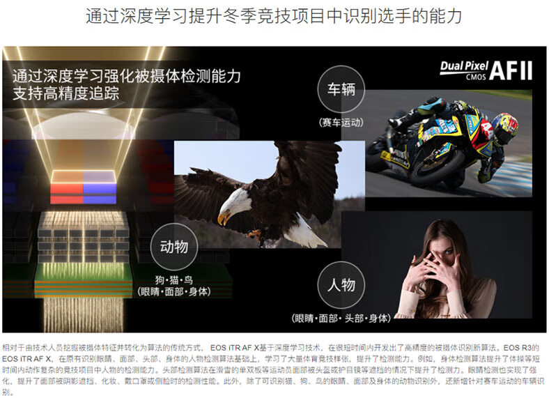 佳能（Canon）EOS R3全画幅专业微单数码相机 单机身/不含镜头 官方标配