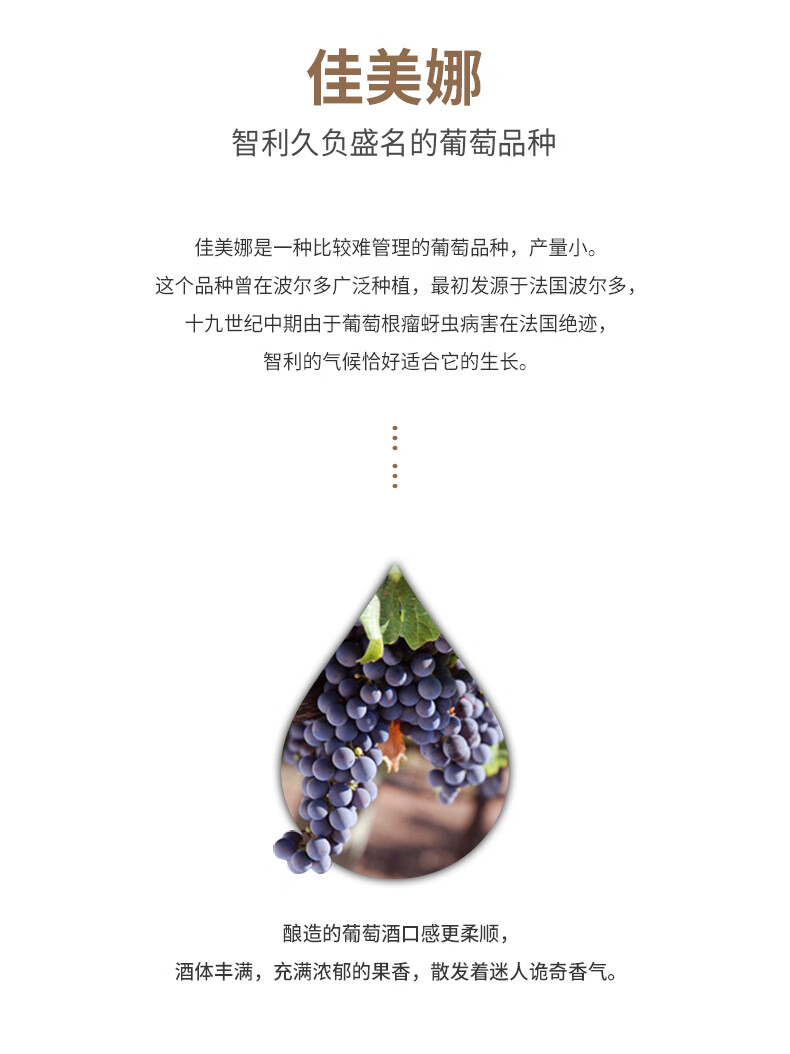 张裕先锋 智利进口魔狮珍藏佳美娜干红葡萄酒 750ml*6瓶