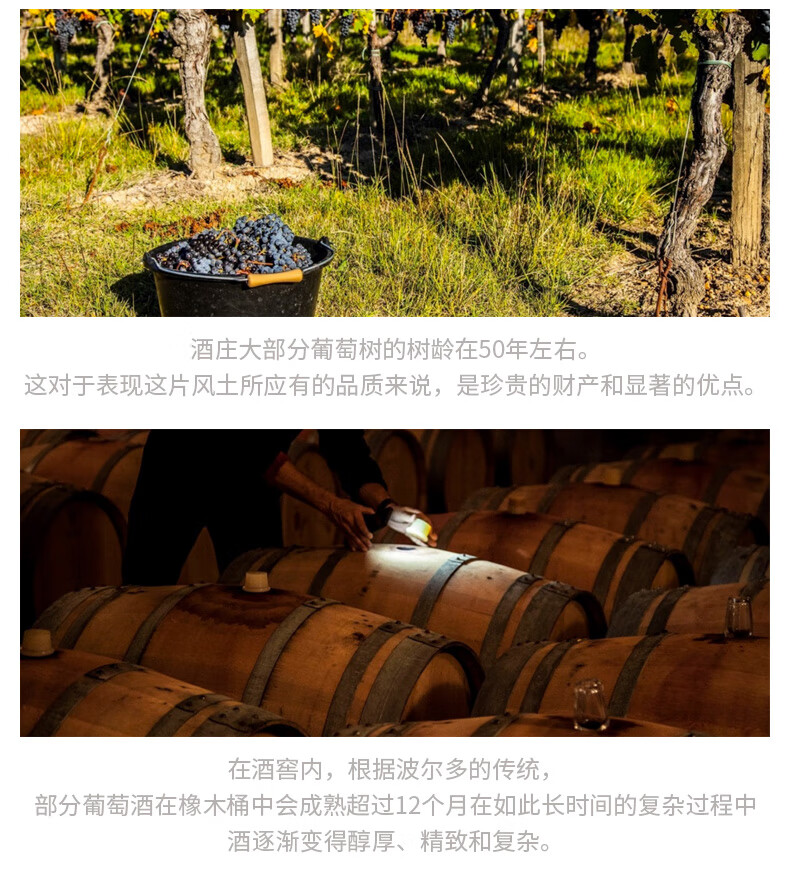 张裕先锋 进口玫瑰岁月干白葡萄酒 750ml*6瓶