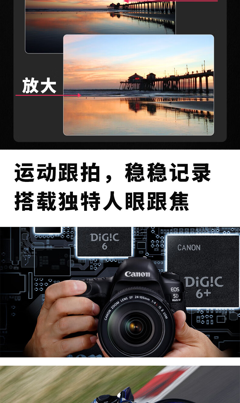 佳能（Canon）5D4 5D Mark IV 专业全画幅单反相机单机/套机 4K视频单反相机 EF24-105 f/4L IS USM