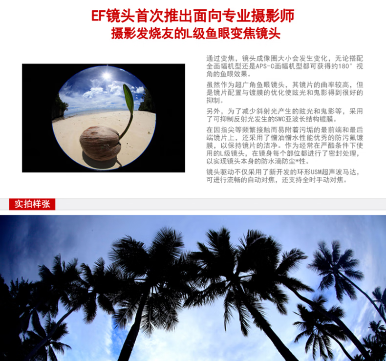 佳能（Canon）远摄变焦中长焦镜头 单反相机镜头打鸟 远景 超长焦 EF100-400mm IS II USM