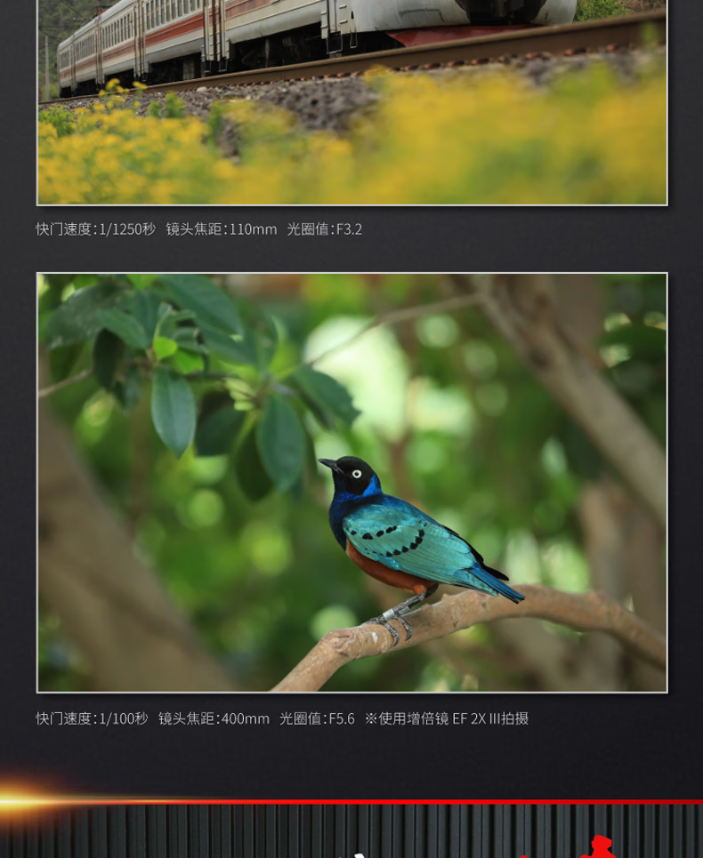 佳能（Canon）远摄变焦中长焦镜头 单反相机镜头打鸟 远景 超长焦 EF100-400mm IS II USM