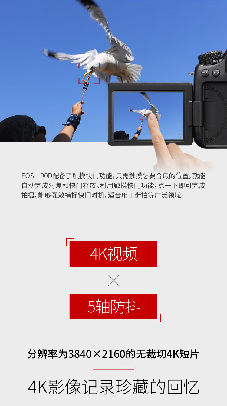 佳能（Canon）EOS 90D中端单反数码相机 家用旅游 4K高清视频拍摄 90D机身+18-135 USM套机 官方标配