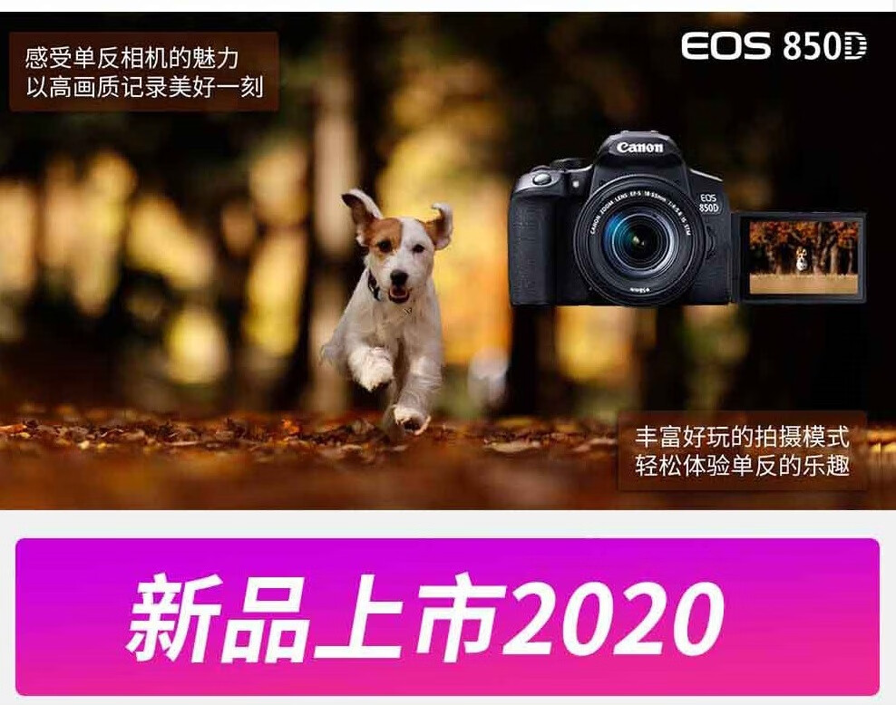 佳能（Canon）EOS 850D数码单反相机 4K高清拍摄旅游 vlog入门照相机 850D 18-200mm 官方标配