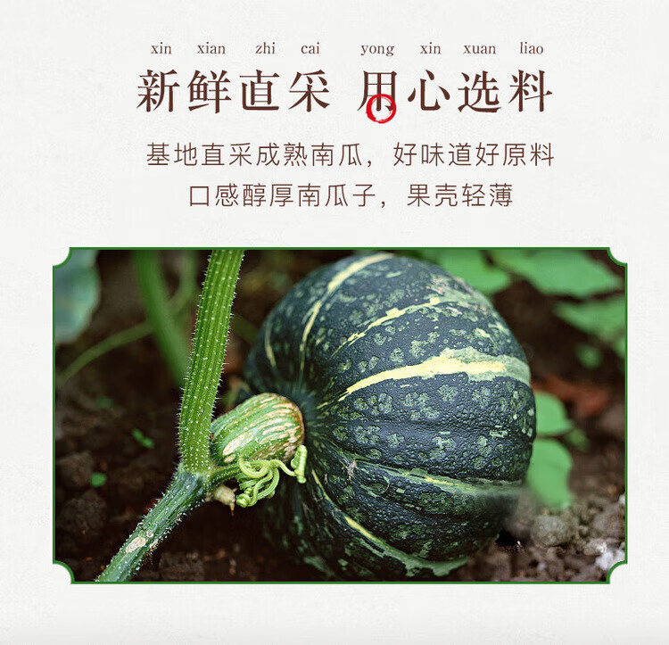 姚生记 休闲零食 南瓜子160g*3袋