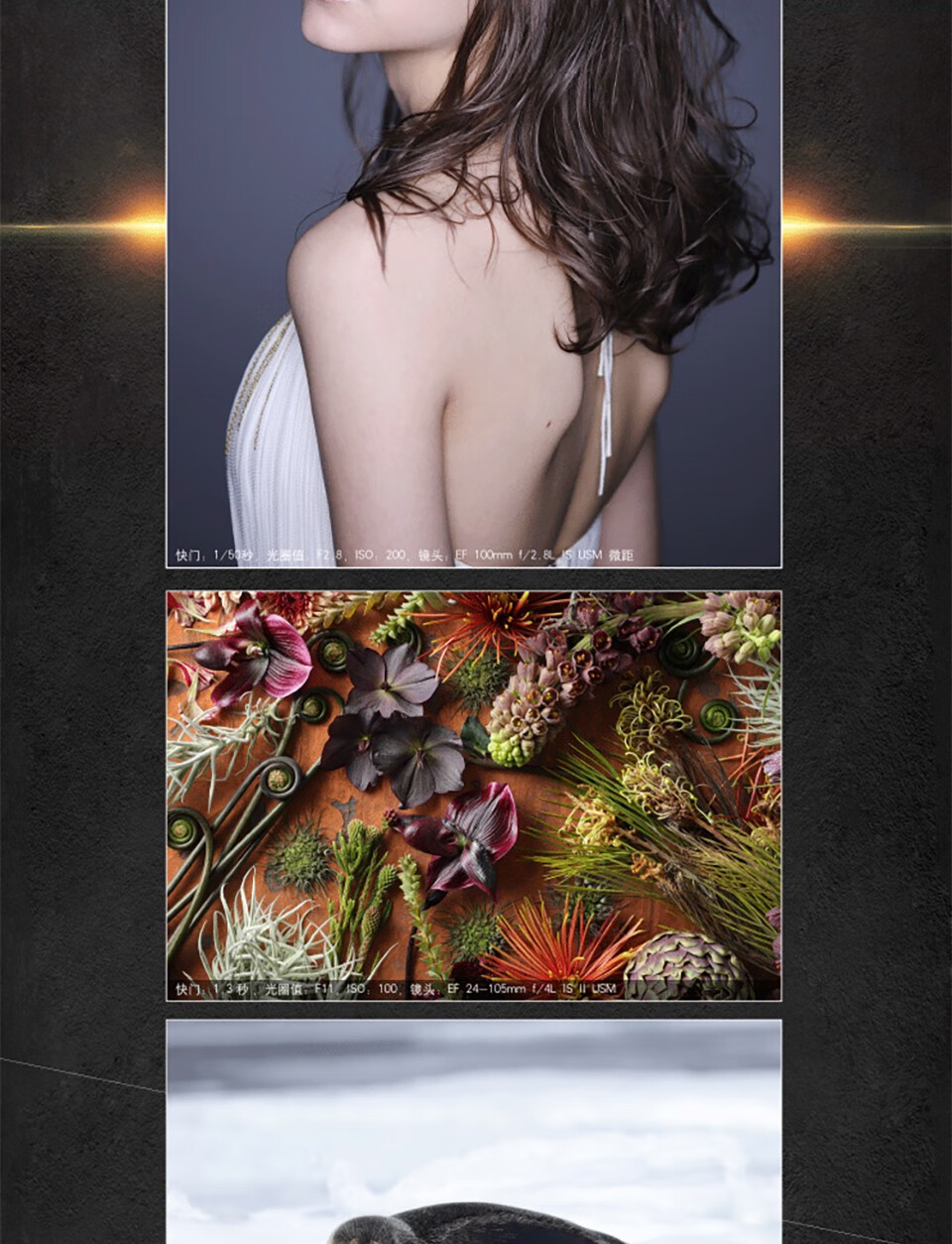 佳能（Canon）6D2专业级高级全新eos全画幅机身套机单反照相机 单反相机 EF24-70mm f2.8L II USM
