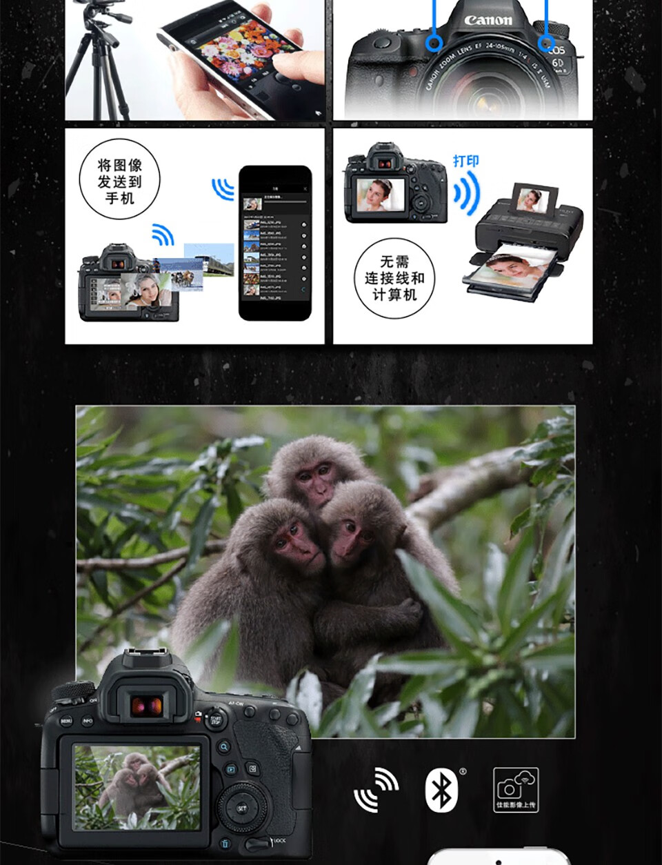 佳能（Canon）6D2专业级高级全新eos全画幅机身套机单反照相机 单反相机 EF24-70mm f2.8L II USM