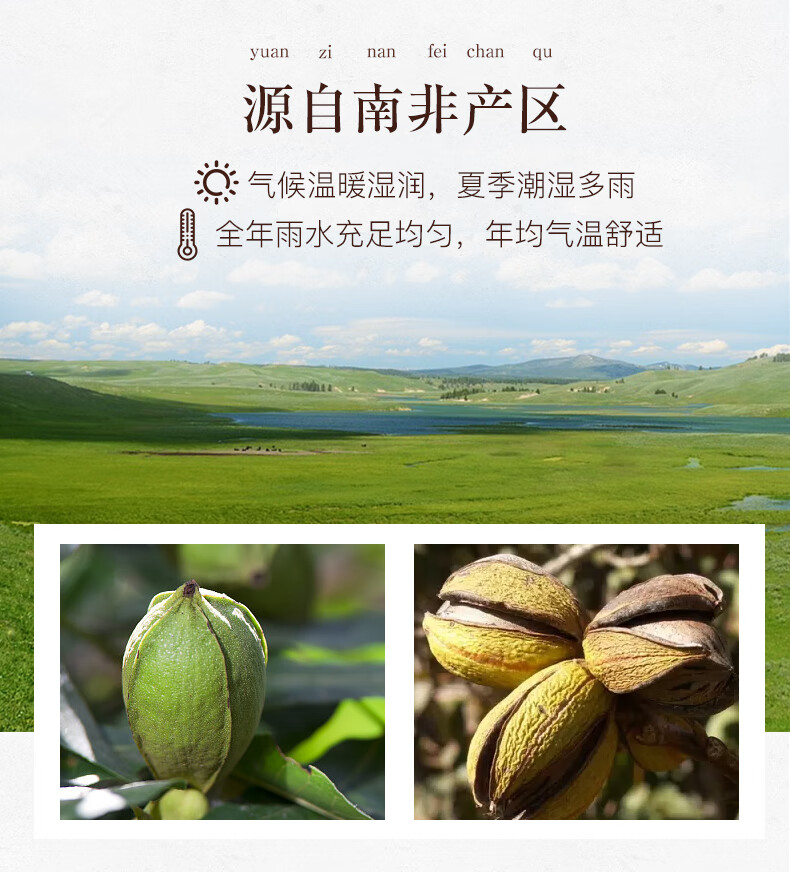 姚生记  休闲零食 碧根果128g*2袋