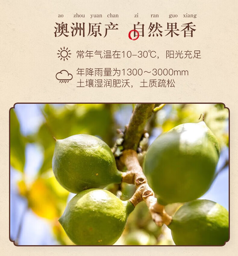 姚生记  休闲零食 夏威夷果500g*1罐