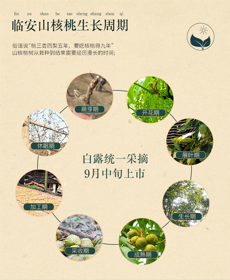 姚生记 休闲零食 椒盐味手剥山核桃500g*1袋