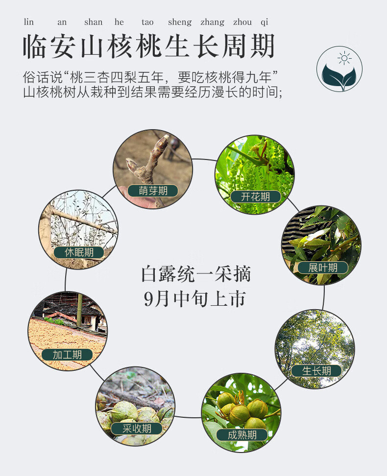 姚生记  休闲零食 椒盐味特好剥山核桃128g*2袋