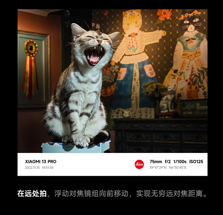 小米13Pro 5G手机 徕卡光学镜头 第二代骁龙8处理器 2K曲面屏 120Hz高刷 陶瓷白 12GB+512GB