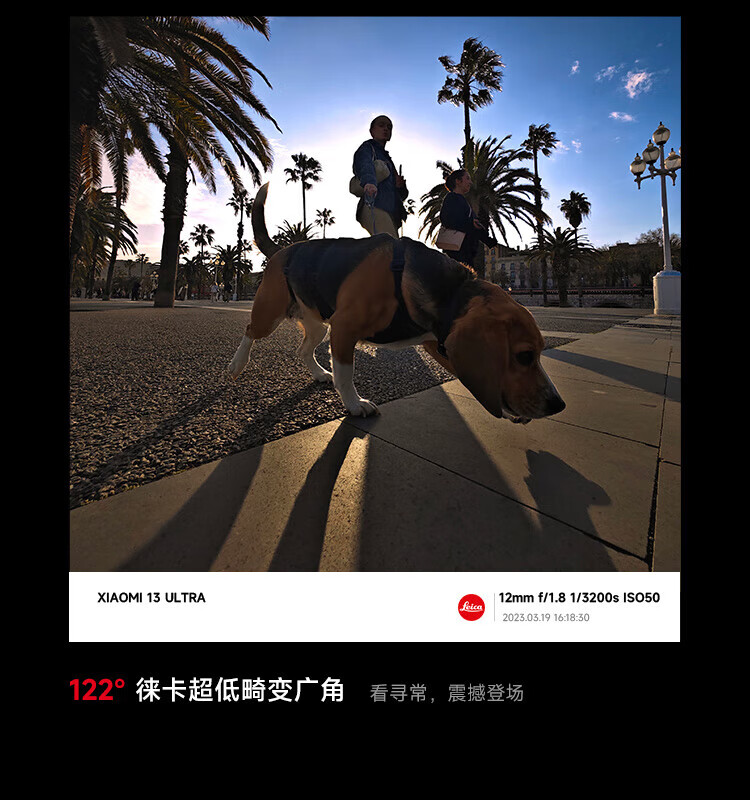 小米13Ultra 徕卡光学全焦段四摄 第二代骁龙8处理器 2K超色准屏 IP68防水Xiaomi 13 Ultra 16+512旷野绿