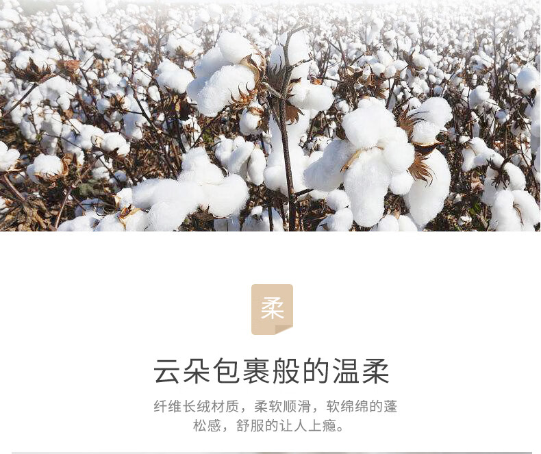 金号邂逅系列毛巾礼盒 ZL1904 颜色随机 四条装