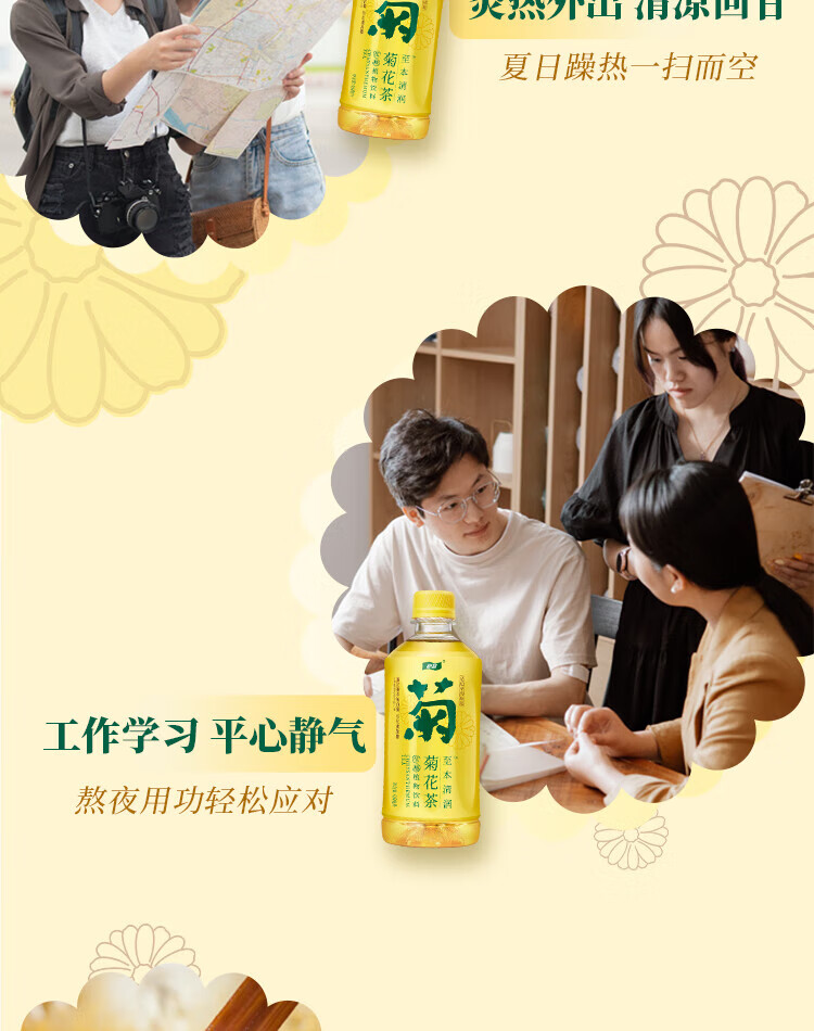 怡宝原味菊花植物饮料450ml*15整箱装