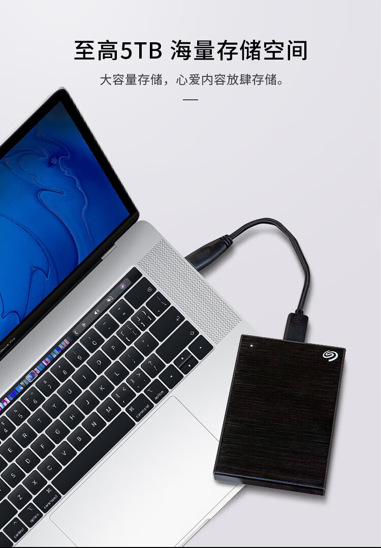 希捷（SEAGATE）移动硬盘4TB 加密 USB3.0 小铭 2.5英寸 金属外观兼容Mac 商务银色 STKZ4000401