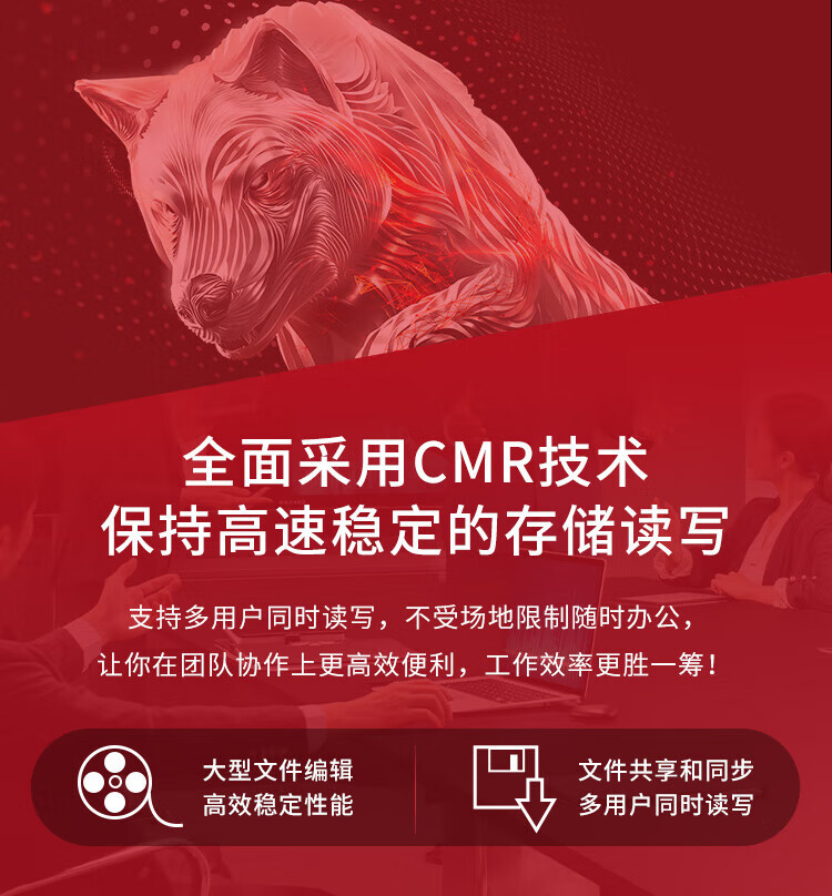 希捷（SEAGATE）NAS硬盘 6TB 256MB 7200转 CMR垂直 网络存储 SATA 数据恢复服务 酷狼PRO ST6000NT001