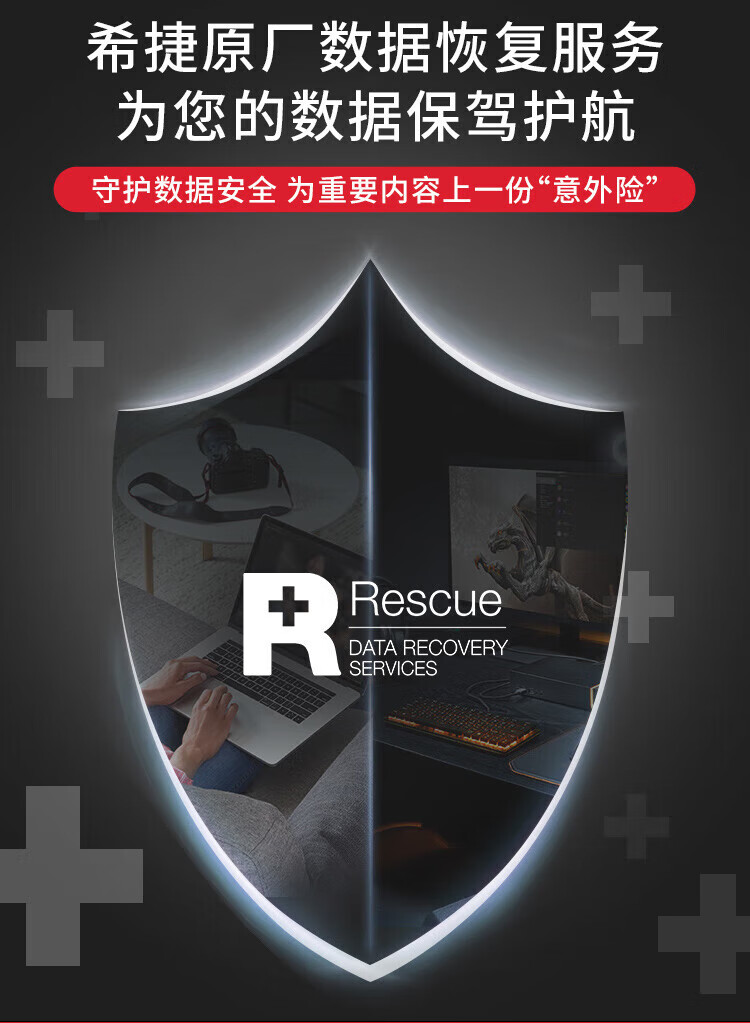 希捷（SEAGATE）NAS硬盘 PMR CMR垂直磁记录 网络存储 SATA 酷狼 数据恢复 4TB ST4000VN006 原厂数据救援