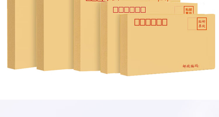递乐（DiLe）1号牛皮纸信封 100g票据工资袋 木浆纸邮局标准信封 100个/包 4601