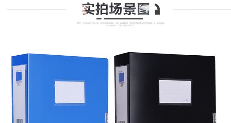递乐（DiLe）A4文件资料盒 35mm塑料档案盒 办公用品 10个装 黑色 1308