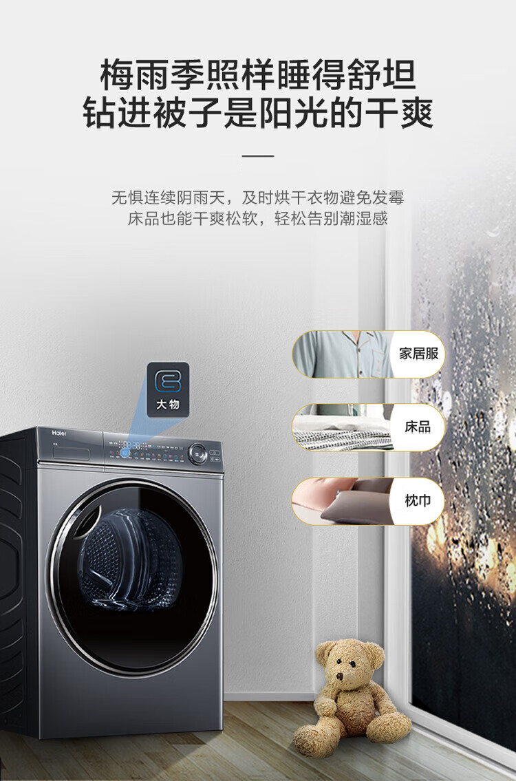 海尔（Haier）纤美烘干机家用 10公斤双擎热泵小型干衣机 养护空气洗 羊毛烘 除菌除螨 HGY100-F376U1